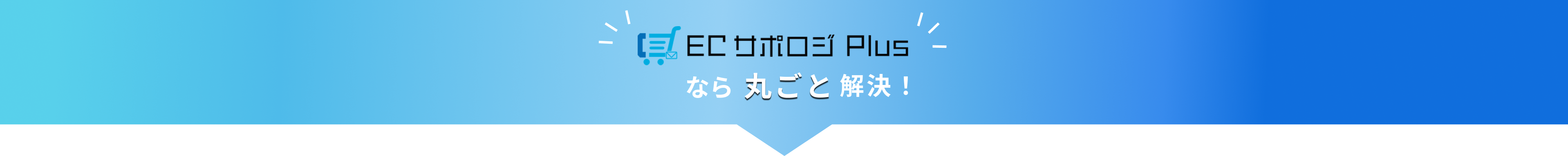 ECサポロジPlusなら丸ごと解決！