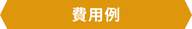 費用例
